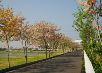 黃偉哲市長極力提升滯洪池量能 打造韌性承洪城市守護家園安全