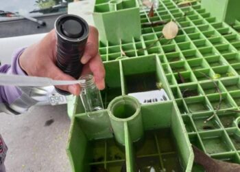 豪雨後病媒蚊蠢蠢欲動,請市民朋友加強孳生源清除,降低登革熱威脅!~