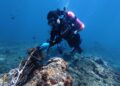 親親墾丁珊瑚海 海人淨海任務成功