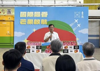 盛夏時節逾10.5公噸臺南愛文芒果輸往日本丸久超市