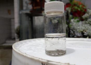 鄰近縣市出現本土登革熱群聚，市長黃偉哲請市民、醫師提高警覺，即時就醫、即時通報。