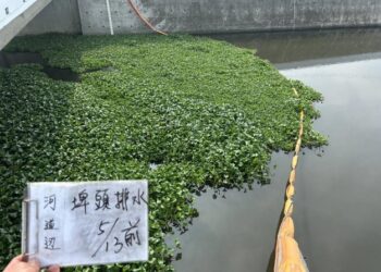 臺南市政府水利局緊急清除將軍溪1,200噸布袋蓮 加強沿線圍圈打撈 臺南市政府水利局緊急清除將軍溪1,200噸布袋蓮 加強沿線圍圈打撈