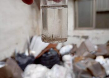 登革熱疑似病例就醫出入醫療院所,南市已發文請院所務必落實孳生源清除工作,勿讓病毒有機會於院內傳染,下週起南市衛生局啟動醫療院所稽查專案,院內查到孑孓將重罰一萬五千元! 登革熱疑似病例就醫出入醫療院所,南市已發文請院所務必落實孳生源清除工作,勿讓病毒有機會於院內傳染,下週起南市衛生局啟動醫療院所稽查專案,院內查到孑孓將重罰一萬五千元!