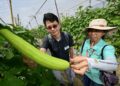 亞蔬攜手農業部強化臺灣蔬菜科研與國際合作能量　在全球糧食與氣候挑戰升溫之際，透過跨領域合作強化蔬菜生產體系韌性
