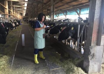 新版鮮乳標章上路 臺南市政府攜手酪農守護消費者權益