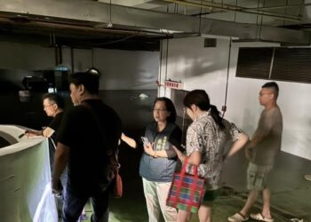 豪雨來襲 南市經發局停班不停工 全力守護民生與產業