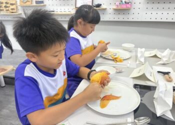 臺南孩子都是芒果富翁!臺南紅寶石「愛文芒果」午餐入菜 超吸睛