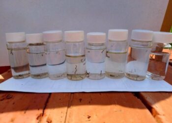 南市新增一例登革熱境外移入病例,黃偉哲市長呼籲民眾暑期出國做好防蚊措施,返國如有登革熱症狀請立即就醫 南市新增一例登革熱境外移入病例,黃偉哲市長呼籲民眾暑期出國做好防蚊措施,返國如有登革熱症狀請立即就醫