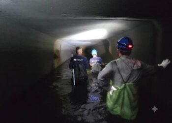 落實下水道清淤備戰巴威颱風!針對易淹水地區辦理下水道縱走確認通水狀況 積極態度獲鄉親肯定 落實下水道清淤備戰巴威颱風!針對易淹水地區辦理下水道縱走確認通水狀況 積極態度獲鄉親肯定