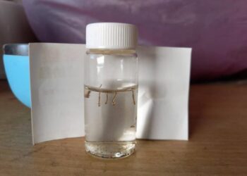 暑假出國前請完成居家「巡、倒、清、刷」，在東南亞國家旅遊請做好防蚊措施，登革不上身，平安保健康！