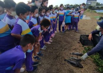 培養食在地、愛鄉土的臺灣囡仔!臺南市安南區土城國小推動食魚教育 引導學童多元學習