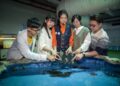 你看過鯊魚蛋嗎?屏東海生館公開罕見卵鞘 一窺生命誕生起點 你看過鯊魚蛋嗎?屏東海生館公開罕見卵鞘 一窺生命誕生起點