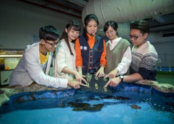 你看過鯊魚蛋嗎?屏東海生館公開罕見卵鞘 一窺生命誕生起點 你看過鯊魚蛋嗎?屏東海生館公開罕見卵鞘 一窺生命誕生起點