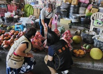 臺南國際芒果節盛大登場，市府加強查核民眾安心購