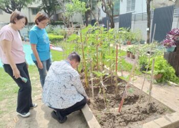 葉落歸根做堆肥 113年補助名單出爐 