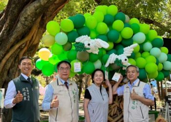 臺南400市府推出老樹巡禮 邀您徜徉府城綠意