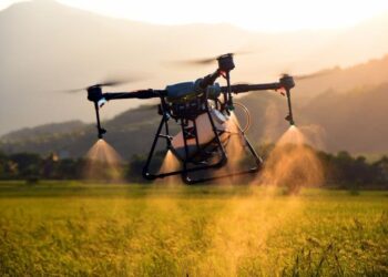 沙崙智慧綠能科學城AI智慧科技應用蓬勃，南市府助力打造AI產業落地聚落