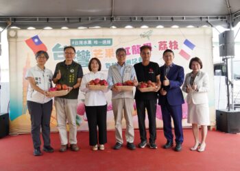 屏東水果搶攻國際高端市場　愛文芒果進軍法國通路
