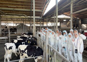 學童喜見乳牛坐旋轉木馬 反思鮮奶夠「鮮」嗎? 學童喜見乳牛坐旋轉木馬 反思鮮奶夠「鮮」嗎?