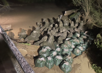 中央地方協力漏夜封堵八掌溪國道1號橋堤防破口，鹽水地區迅速退水