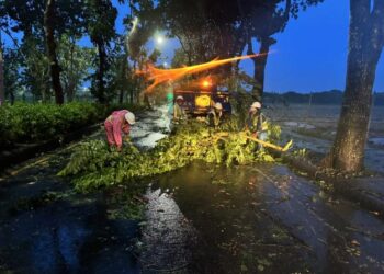凱米颱風致路樹倒招牌掉 臺南工務局全力動員 預計今晚全數排除 凱米颱風致路樹倒招牌掉 臺南工務局全力動員 預計今晚全數排除