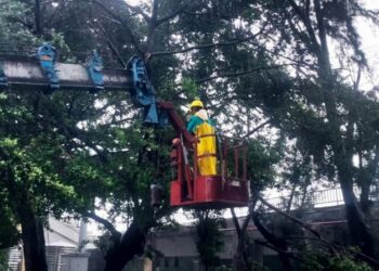 強颱凱米肆虐新營體育園區及永華體育園區 體育局全力修復 提供市民優質及安全的運動環境