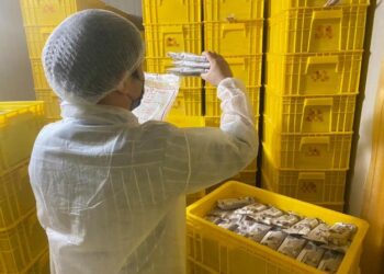 臺南市政府衛生局公布113年7月飲冰品抽驗結果，知名品牌冰棒檢驗不符規定羅列其中！