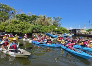 公私協力 守護紅樹林 打造新亮點－ 南區公所結合海洋志工，搭乘獨木舟攜手整理四鯤鯓水域環境