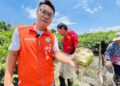 欲哭無淚 關廟龜洞里農損慘重 萬顆芭樂心血全泡湯