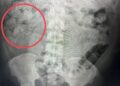 【明如鏡、察秋毫、靖邊關】橋檢指揮跨轄聯手,桃機截法男排出1.4公斤一級毒 【明如鏡、察秋毫、靖邊關】橋檢指揮跨轄聯手,桃機截法男排出1.4公斤一級毒