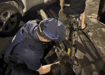 內埔暖警守護夜騎老翁安全 內埔暖警守護夜騎老翁安全