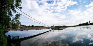 歡慶2024臺灣燈會高鐵燈區開燈　虎頭埤園區享買大送小