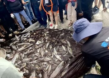 屏縣推動客家青年基地　打造文化創生新場域