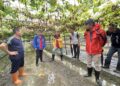 6月豪雨連連造成屏東農損　爭取農業部天然災害救助全品項免勘