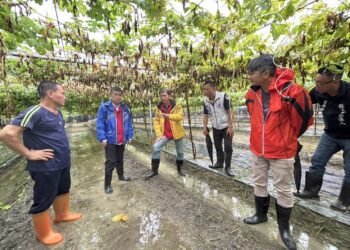 6月豪雨連連造成屏東農損 爭取農業部天然災害救助全品項免勘 6月豪雨連連造成屏東農損 爭取農業部天然災害救助全品項免勘