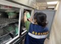 屏東持續追查問題油品及產品 要求全面下架 屏東持續追查問題油品及產品 要求全面下架