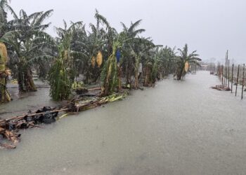 楊柳颱風逼近屏縣府籲農漁民提早因應並加強防範 楊柳颱風逼近屏縣府籲農漁民提早因應並加強防範