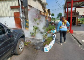 屏東出現本土登革熱病例 縣府提醒民眾落實防疫防蚊措施防堵疫情擴散 屏東出現本土登革熱病例 縣府提醒民眾落實防疫防蚊措施防堵疫情擴散