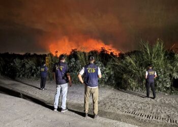 九如堤防火警疑人為縱火狩獵　里港警速查獲3嫌送辦