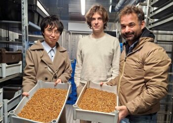 將AI綠能技術推向歐陸　南臺科大博士生林韋成青年百億圓夢有成